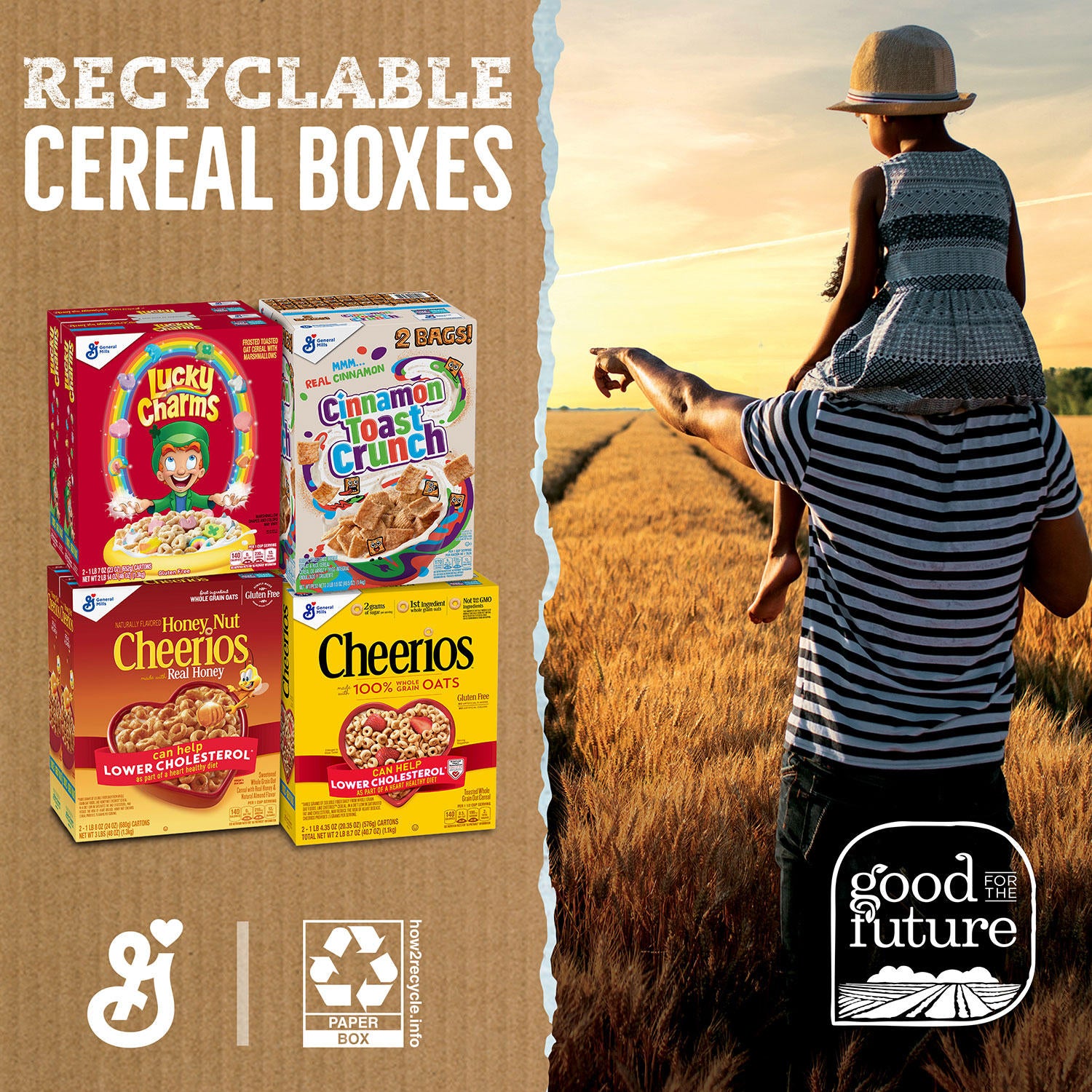 Apple Cinnamon Cheerios (2 pk.)